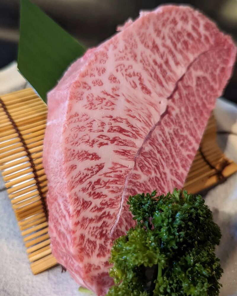 画像1442