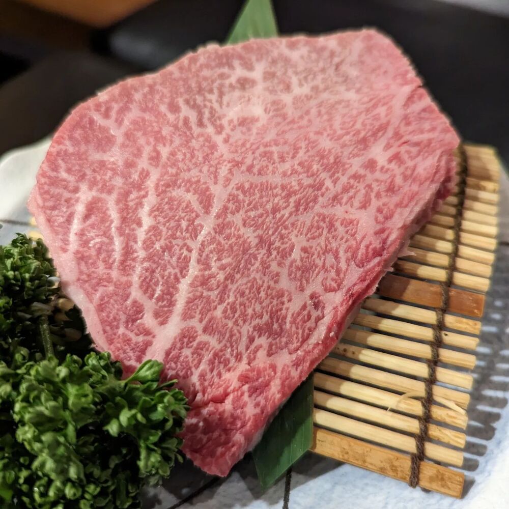 画像1511