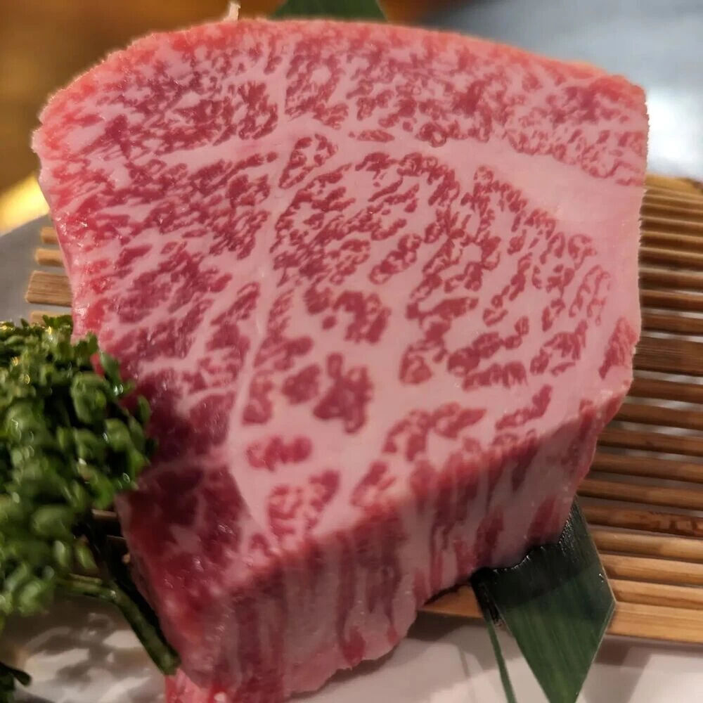 画像4267