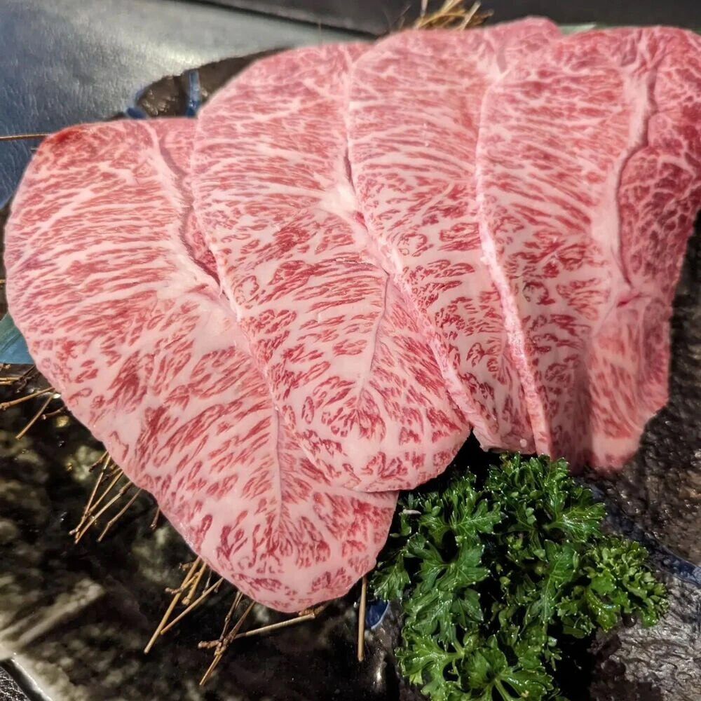 画像4495