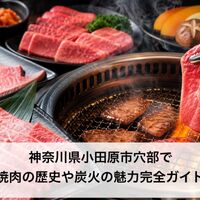 画像4639