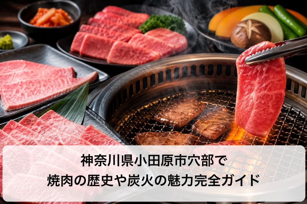 画像4639