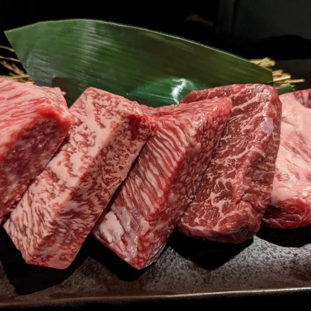 画像5234
