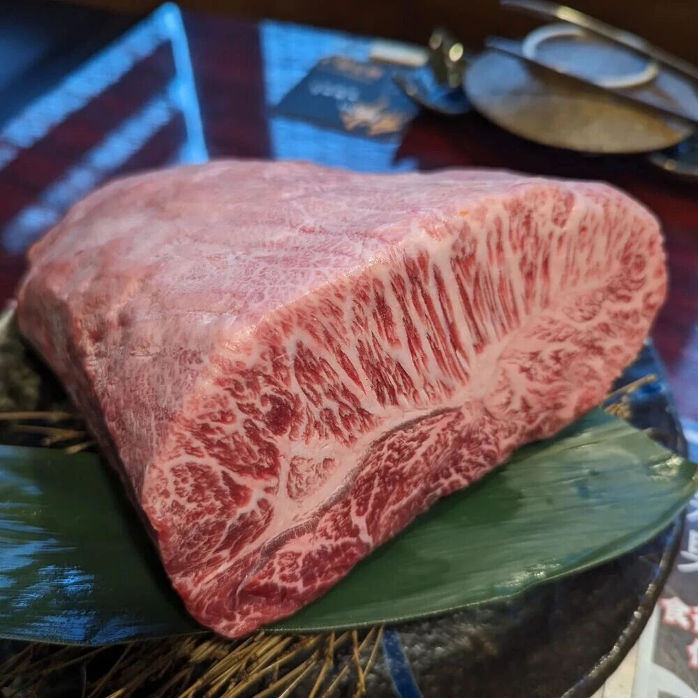 画像5548